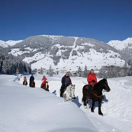 With Balcony In Hart Im Zillertaler * 푸겐