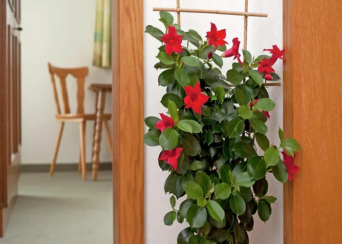 Apartment With Balcony In Hart Im Zillertaler